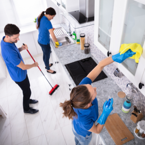 Basic house cleaning